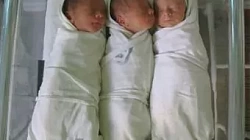 Благодаря ЭКО в Волгоградской области родились три тройни