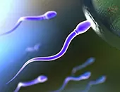 Ученые создали искусственные сперматозоиды