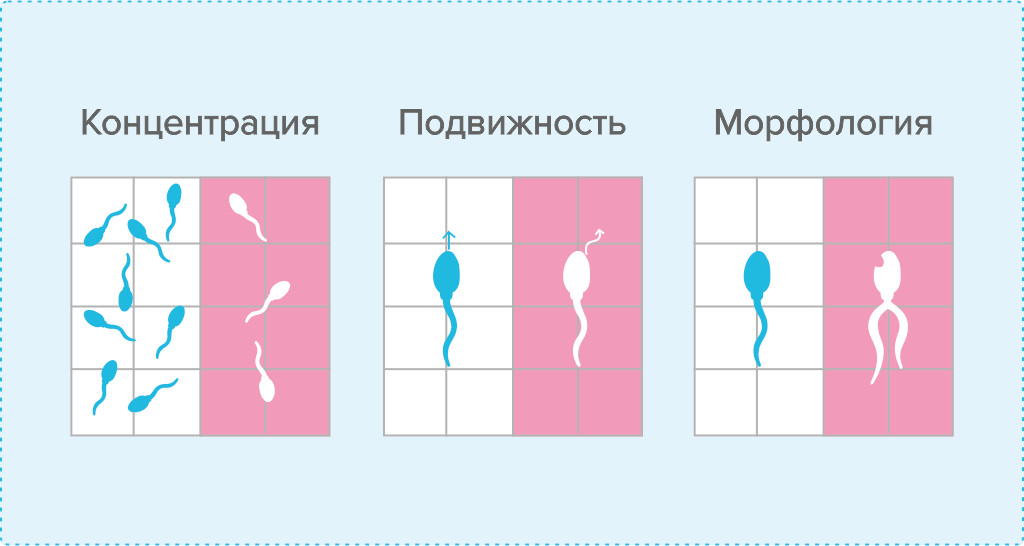 Как расшифровать показатели спермограммы