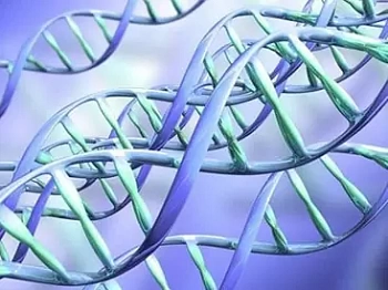 Британские ученые приступают к исследованиям в сфере генетической модификации эмбрионов