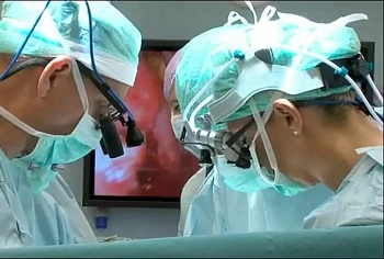 В Великобритании проведут операции по трансплантации матки